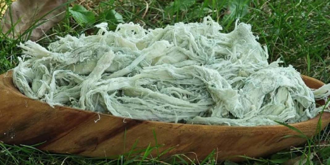 Sadece Türkiye’de değil dünya mutfağında da söz sahibi! Geleneksel lezzet: Peynir deyip geçmek büyük hata 6